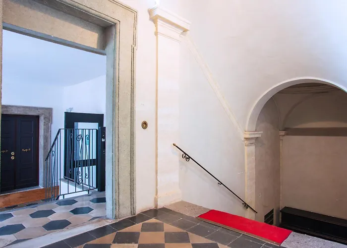 Il Sogno Delle Tartarughe Rome