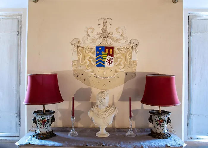 Il Sogno Delle Tartarughe *